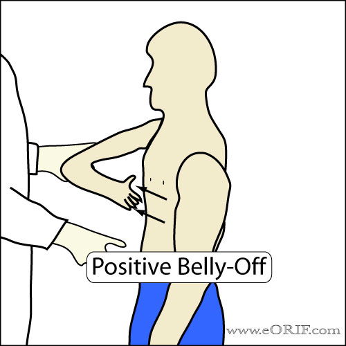 Belly-Off Sign Belly-Off Sign