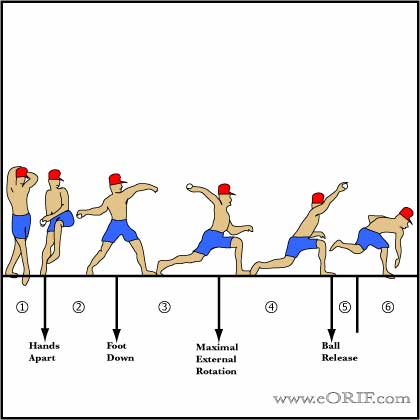 phases of throwing picture